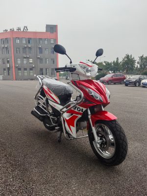 MOTO BENZINA F1 125CC CON ENVIO AEREO